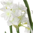 Uttermost Lacey Daffodil Accent Arrangement in Multi-Color