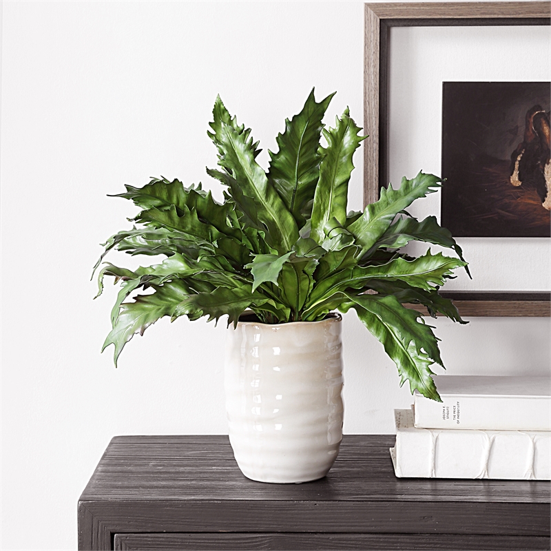 Uttermost Verdure Fern In Glazed Pot in Multi-Color