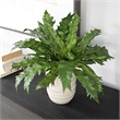 Uttermost Verdure Fern In Glazed Pot in Multi-Color