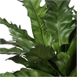 Uttermost Verdure Fern In Glazed Pot in Multi-Color