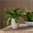 Uttermost Verdure Fern In Glazed Pot in Multi-Color