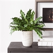 Uttermost Verdure Fern In Glazed Pot in Multi-Color