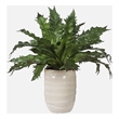 Uttermost Verdure Fern In Glazed Pot in Multi-Color