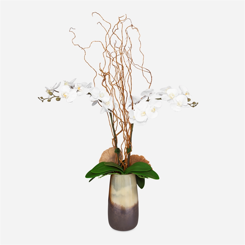Uttermost Earthbound Orchid With Vasev in Multi-Color