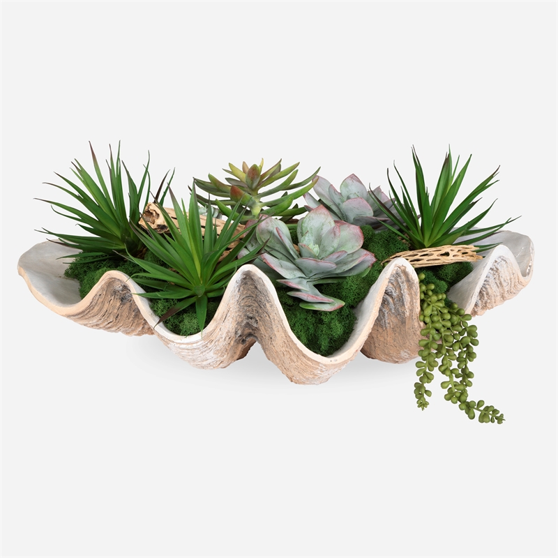 Uttermost Seaside Breeze Succulents in Multi-Color