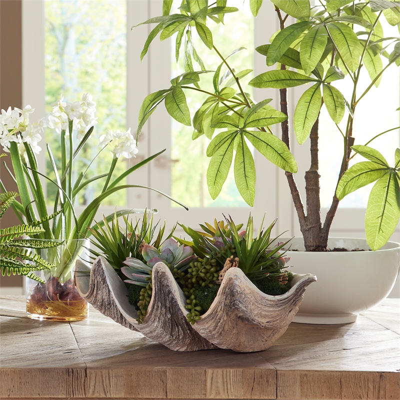 Uttermost Seaside Breeze Succulents in Multi-Color