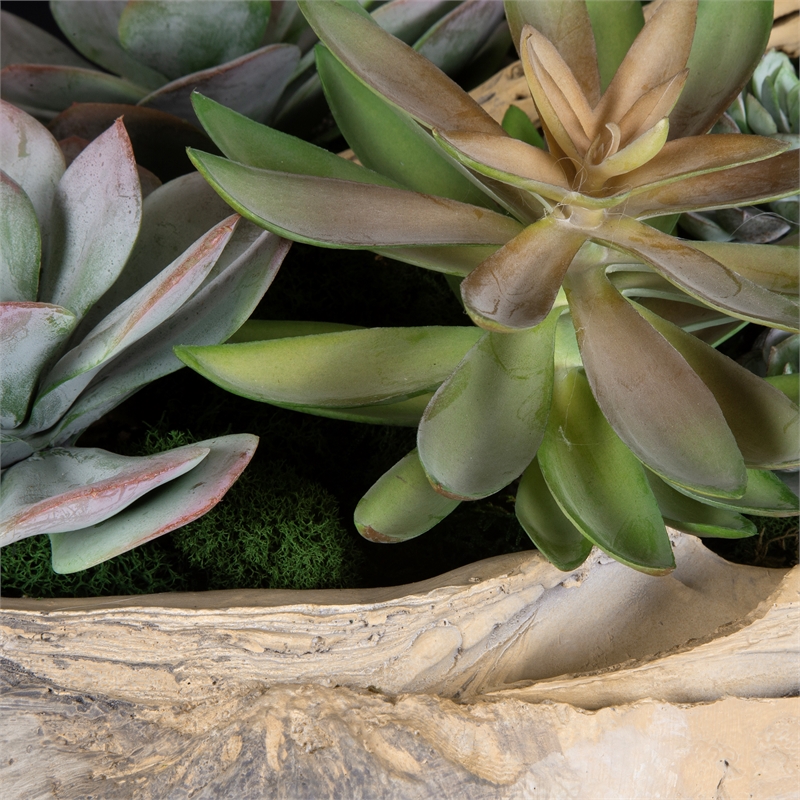 Uttermost Seaside Breeze Succulents in Multi-Color