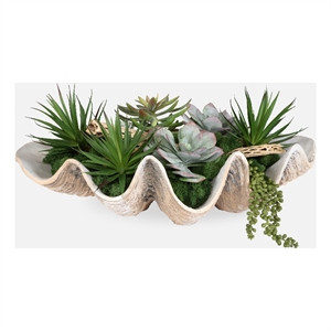 Uttermost Seaside Breeze Succulents in Multi-Color