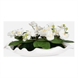 Uttermost Opulence Orchid Centerpiece With Bowl in Multi-Color