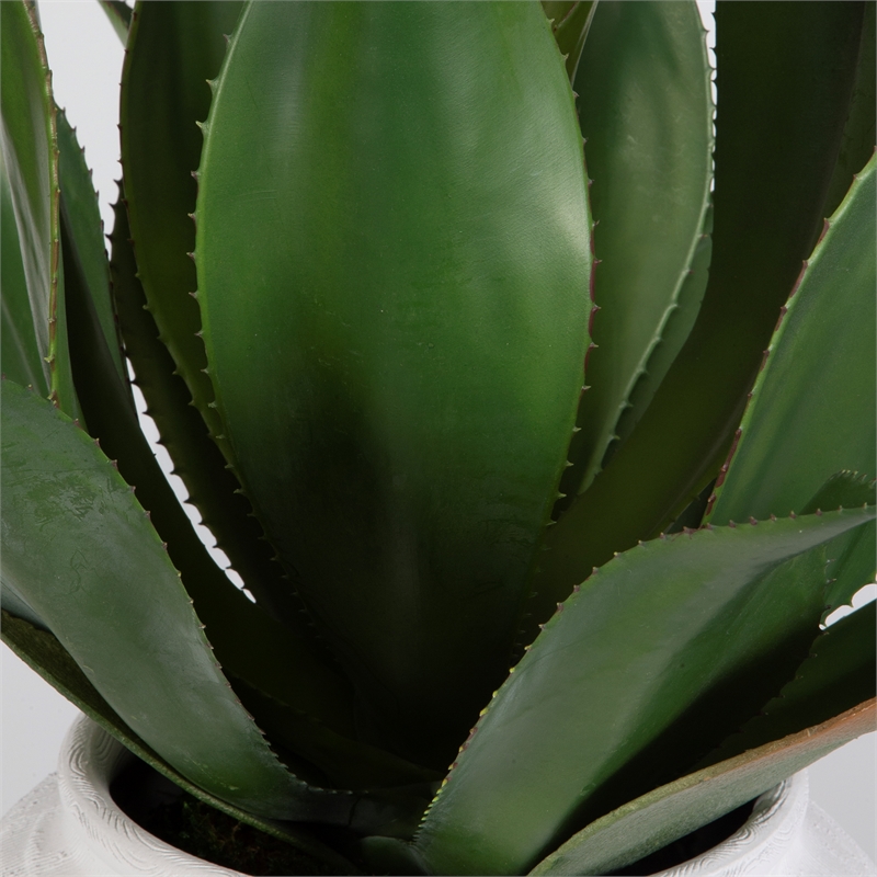 Uttermost Tierra Agave Centerpiece With Vase in Multi-Color
