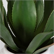 Uttermost Tierra Agave Centerpiece With Vase in Multi-Color