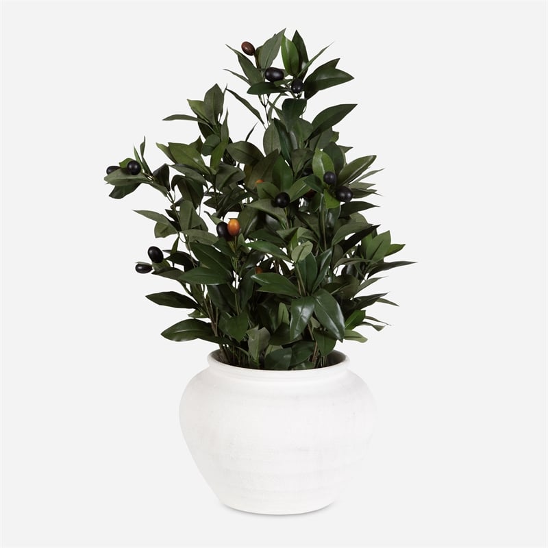 Uttermost Elena Olive Centerpiece
