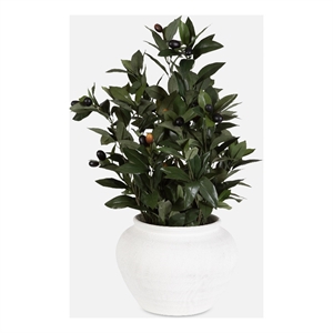 Uttermost Elena Olive Centerpiece