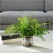 Uttermost Maidenhair Fern In Oxidized Container in Multi-Color