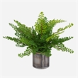 Uttermost Maidenhair Fern In Oxidized Container in Multi-Color
