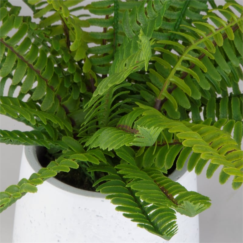 Uttermost Boston Fern In White Ceramic Pot in Multi-Color