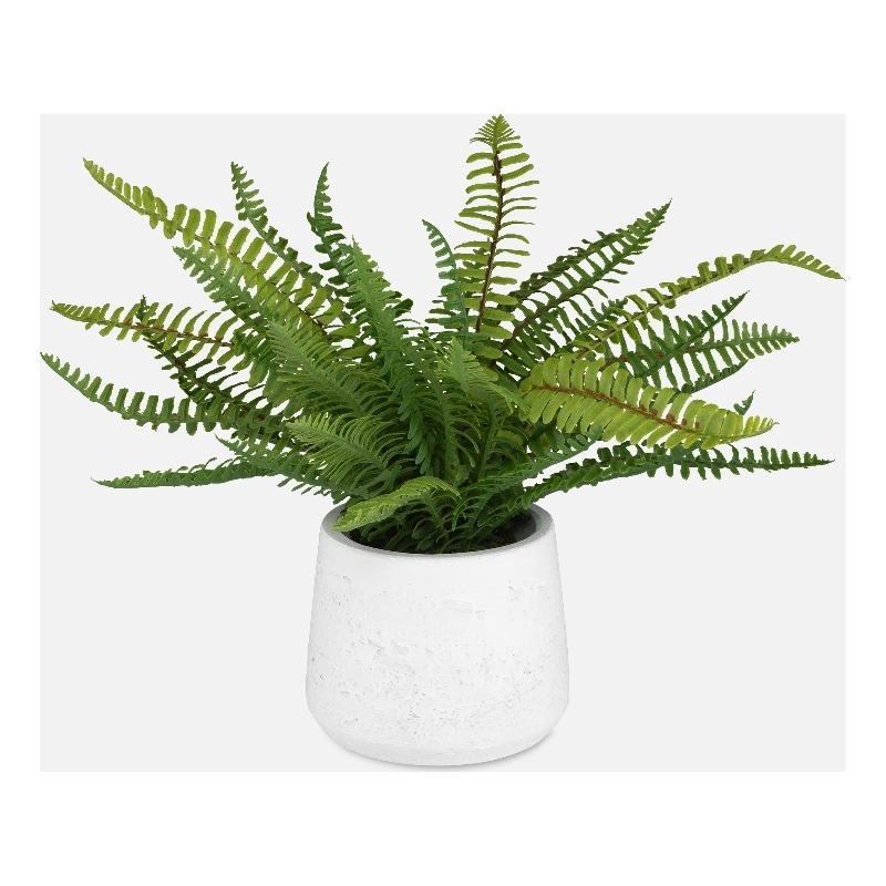 Uttermost Boston Fern In White Ceramic Pot in Multi-Color