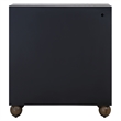 Uttermost Mayenne 2 Door Oak Wood Cabinet in Dark Oak