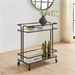 Uttermost Erivo Bronze Bar Cart in Bronze