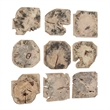 Uttermost Bahati Wood Bleached Wall Decor in  Brown (Set of 9)