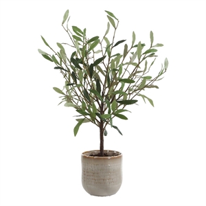 Uttermost Solea Olive Accent & Textured Vase in Hued Green And Silvery Leaves