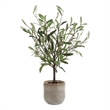 Uttermost Solea Olive Accent & Textured Vase in Hued Green And Silvery Leaves