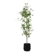 Uttermost Boreal Potted Birch Tree in Black