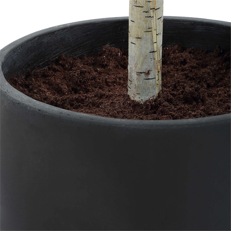 Uttermost Boreal Potted Birch Tree in Black