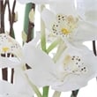 Uttermost Eterna Orchid Centerpiece Vase in Gray