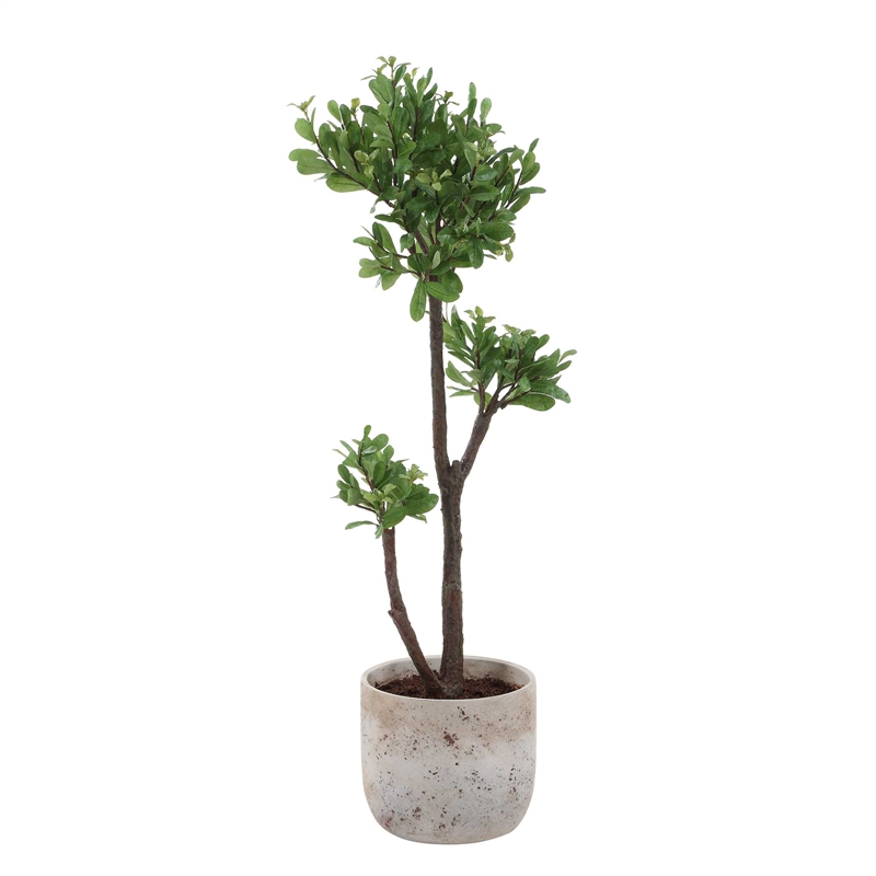 Uttermost Arbor Strawberry Tree in Beige Pot