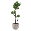 Uttermost Arbor Strawberry Tree in Beige Pot
