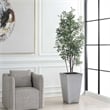 Uttermost Sonora Olive Tree In Planter in Gray