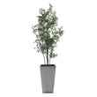 Uttermost Sonora Olive Tree In Planter in Gray