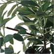 Uttermost Sonora Olive Tree In Planter in Gray