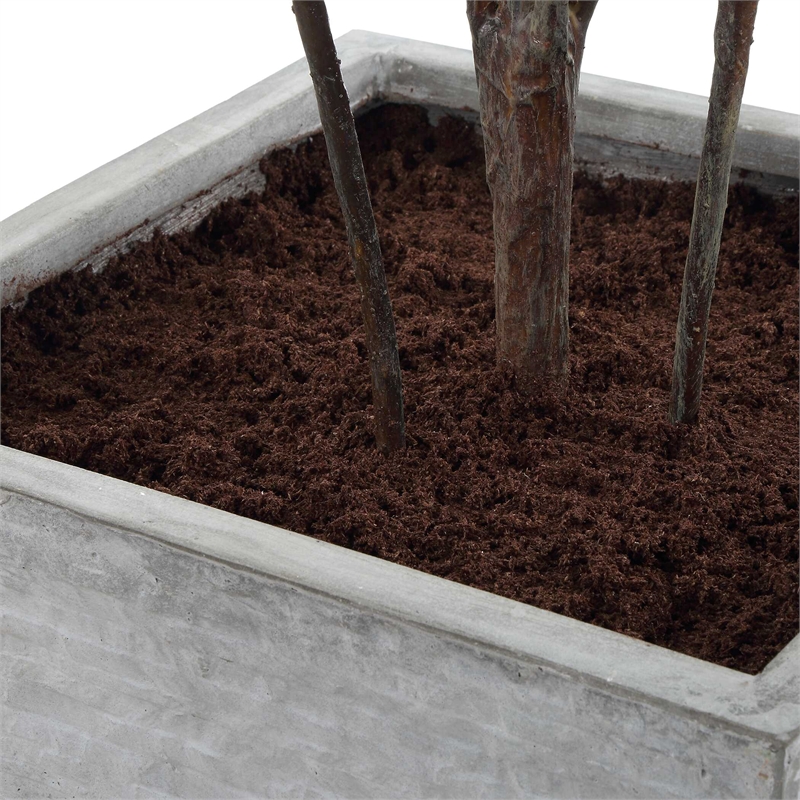 Uttermost Sonora Olive Tree In Planter in Gray