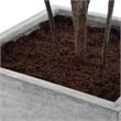 Uttermost Sonora Olive Tree In Planter in Gray