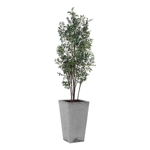 Uttermost Sonora Olive Tree In Planter in Gray
