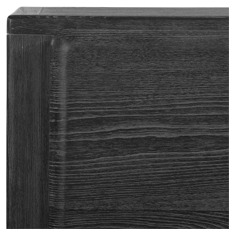 Uttermost Bierk Dark Stain 2 Door Cabinet in Black