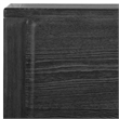 Uttermost Bierk Dark Stain 2 Door Cabinet in Black