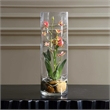 Uttermost Mariposa Orchid in Pink