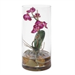 Uttermost Mariposa Orchid Display in Fuchsia