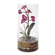 Uttermost Mariposa Orchid Display in Fuchsia
