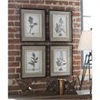 Uttermost Casual Gray Study Wood Flax and Linen Framed Art in Black (Set of 4)