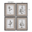 Uttermost Casual Gray Study Wood Flax and Linen Framed Art in Black (Set of 4)