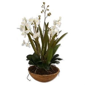 uttermost moth orchid hand painted planter in natural brown