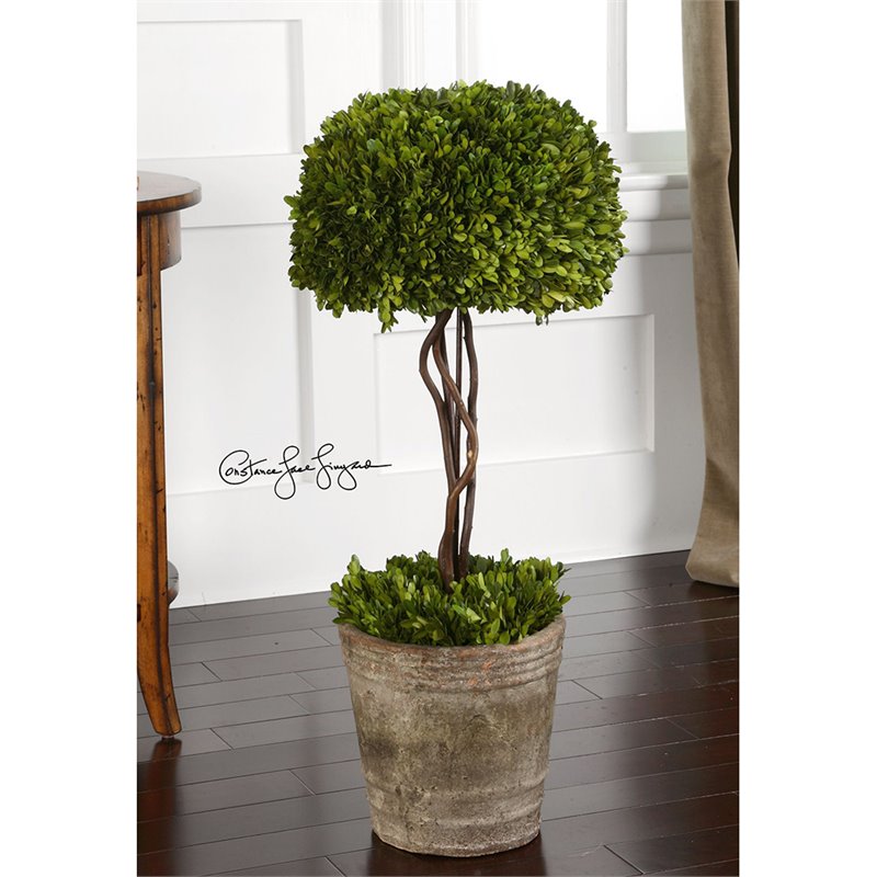 Preserved Boxwood Topiary