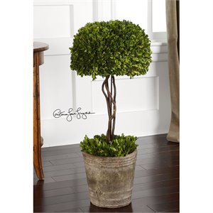 Uttermost Ceramic Tree Topiary Preserved Boxwood in Natural Evergreen Finish