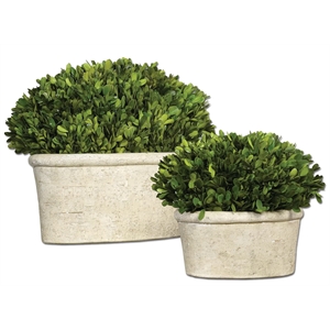 Uttermost 2-Piece Ceramic Oval Dome Preserved Boxwood Set in Mossy Green