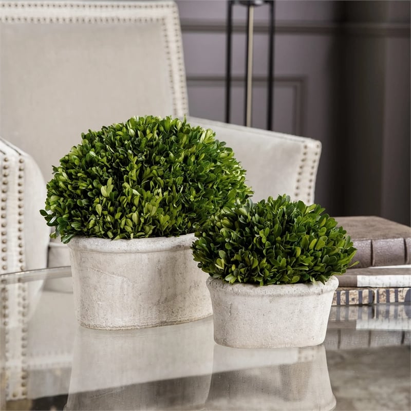 Uttermost 2-Piece Ceramic Oval Dome Preserved Boxwood Set in Mossy Green