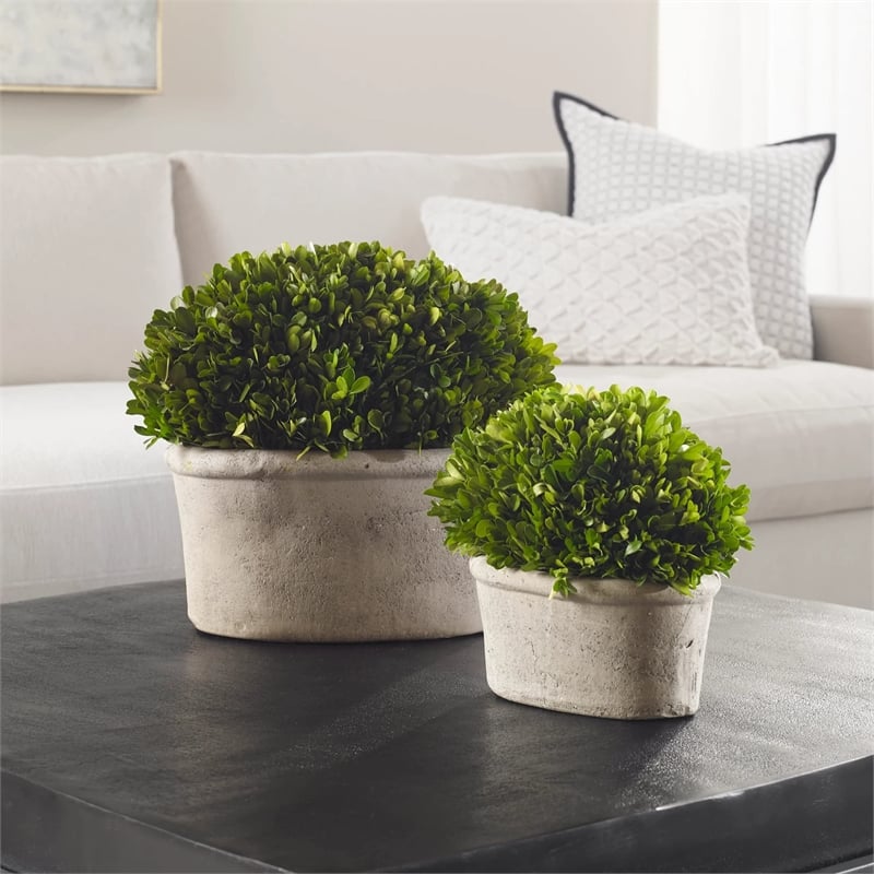 Uttermost 2-Piece Ceramic Oval Dome Preserved Boxwood Set in Mossy Green